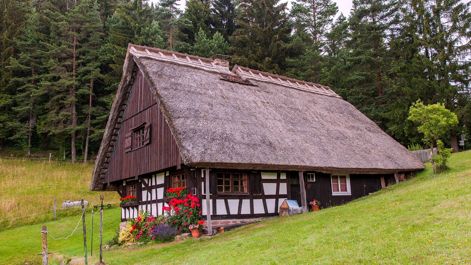 Slideshow-Bild